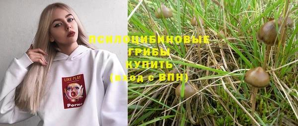 хмурый Наволоки