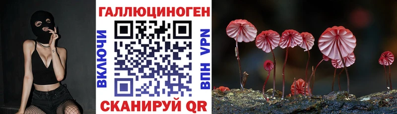 Галлюциногенные грибы мицелий  наркошоп  Новая Усмань 